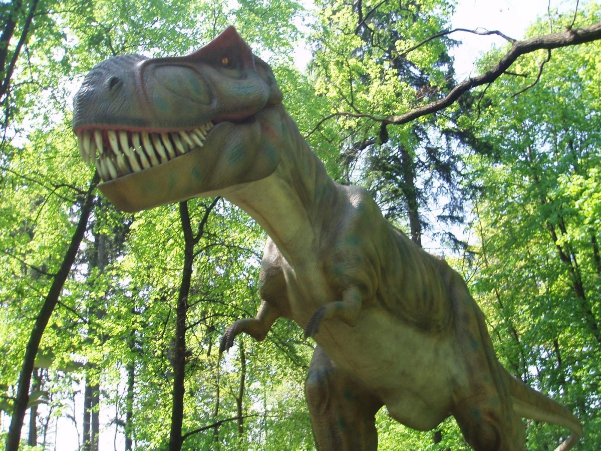 Okoliczna atrkacja Dinozatorland